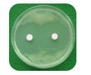 antimicrobial polymer